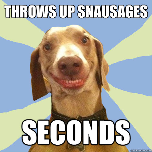 Throws up snausages seconds  Disgusting Doggy