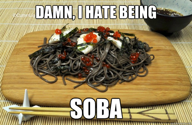 Damn, I hate being soba - Damn, I hate being soba  hate being soba