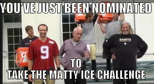 YOU'VE JUST BEEN NOMINATED  TO TAKE THE MATTY ICE CHALLENGE Misc