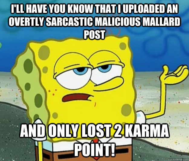 I'll have you know that I uploaded an OVERTLY sarcastic Malicious Mallard Post And only lost 2 Karma Point!  Tough Spongebob