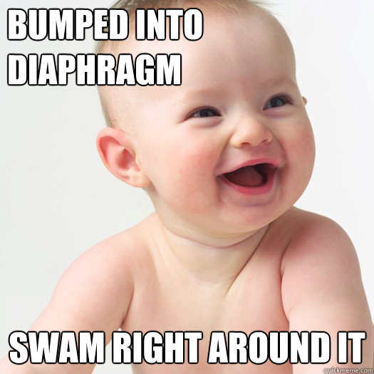 bumped into diaphragm swam right around it - bumped into diaphragm swam right around it  Sex ed baby