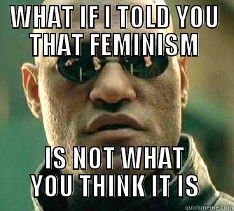 WHAT IF I TOLD YOU THAT FEMINISM IS NOT WHAT YOU THINK IT IS Matrix Morpheus