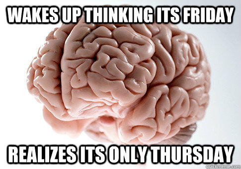 Wakes up thinking its Friday Realizes its only thursday - Wakes up thinking its Friday Realizes its only thursday  Scumbag Brain