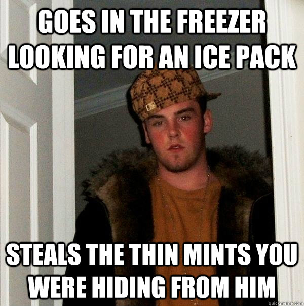 goes in the freezer looking for an ice pack steals the thin mints you were hiding from him - goes in the freezer looking for an ice pack steals the thin mints you were hiding from him  Scumbag Steve