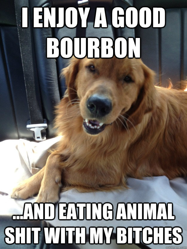 I enjoy a good bourbon ...and eating animal shit with my bitches  Sophisticated Dog