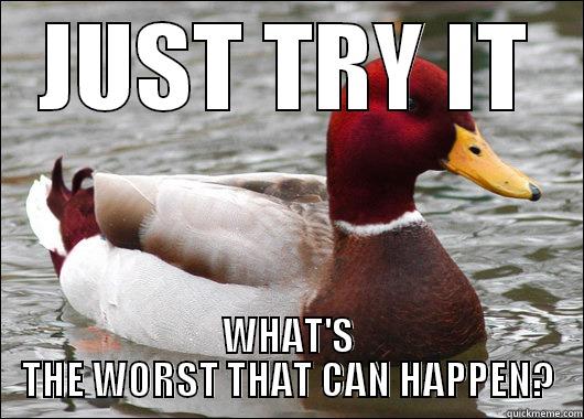 JUST TRY IT WHAT'S THE WORST THAT CAN HAPPEN? Malicious Advice Mallard