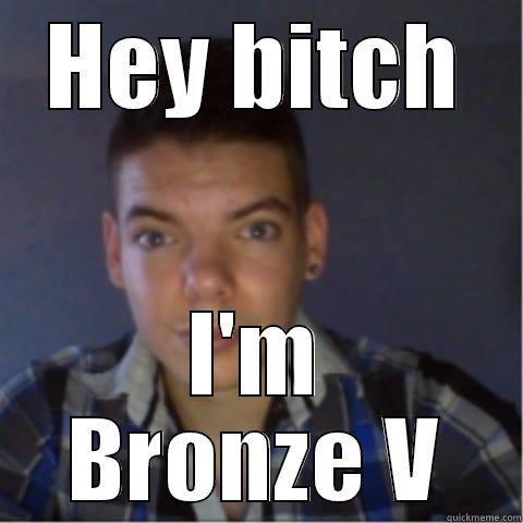 HEY BITCH I'M BRONZE V Misc