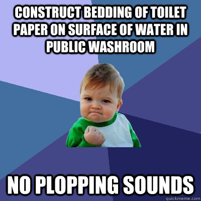 Construct bedding of toilet paper on surface of water in public washroom No plopping sounds - Construct bedding of toilet paper on surface of water in public washroom No plopping sounds  Success Kid