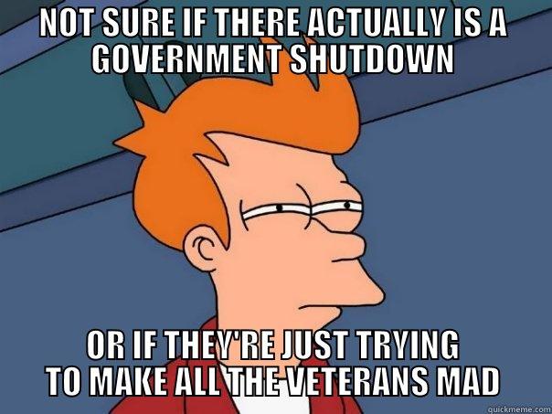 NOT SURE IF THERE ACTUALLY IS A GOVERNMENT SHUTDOWN OR IF THEY'RE JUST TRYING TO MAKE ALL THE VETERANS MAD Futurama Fry