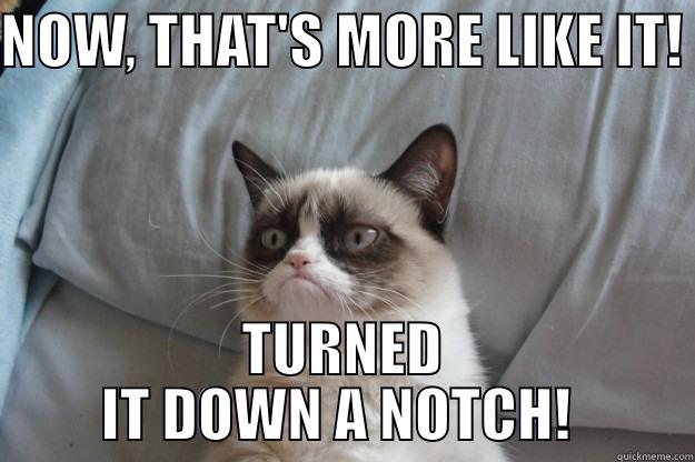 NOW, THAT'S MORE LIKE IT!  TURNED IT DOWN A NOTCH!  Grumpy Cat