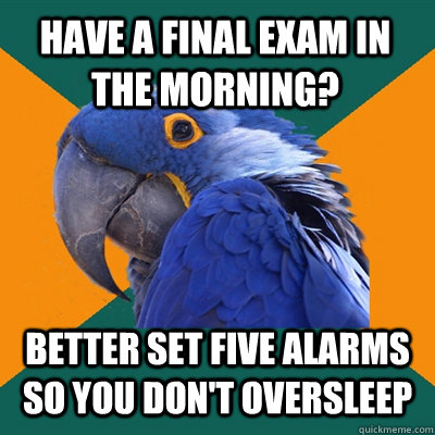 HAVE A FINAL EXAM IN THE MORNING? BETTER SET FIVE ALARMS SO YOU DON'T OVERSLEEP - HAVE A FINAL EXAM IN THE MORNING? BETTER SET FIVE ALARMS SO YOU DON'T OVERSLEEP  Paranoid Parrot