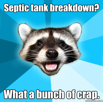 Septic tank breakdown? What a bunch of crap.  Lame Pun Coon