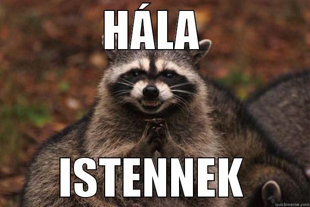 HÁLA ISTENNEK Evil Plotting Raccoon