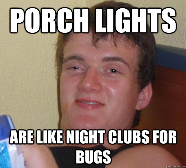 Porch lights  Are like night clubs for bugs  10 Guy