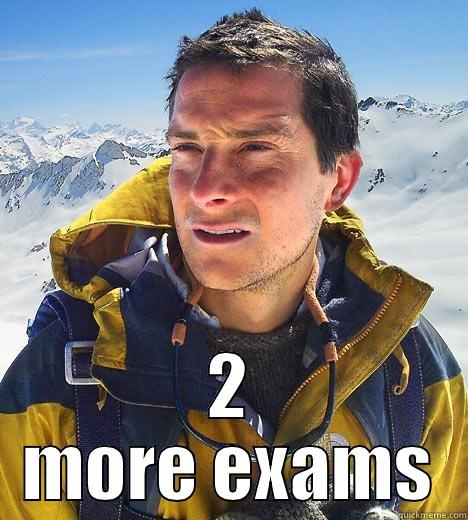  2 MORE EXAMS Bear Grylls