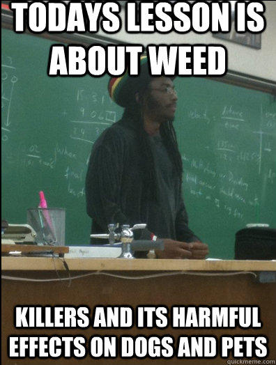 todays lesson is about weed killers and its harmful effects on dogs and pets  