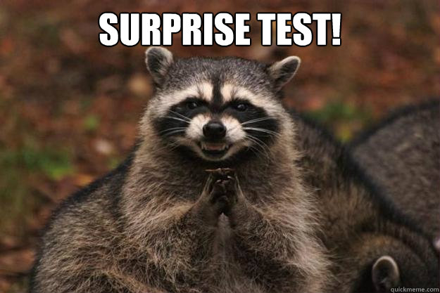 surprise test!   Evil Plotting Raccoon