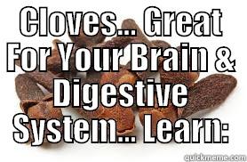 Cloves Great - CLOVES... GREAT FOR YOUR BRAIN & DIGESTIVE SYSTEM... LEARN:  Misc