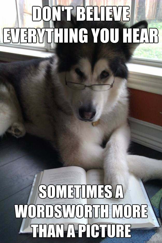 Don't believe everything you hear sometimes a wordsworth more than a picture  Condescending Literary Pun Dog