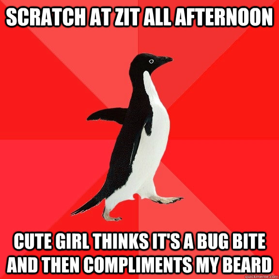 Scratch at zit all afternoon Cute girl thinks it's a bug bite and then compliments my beard  Socially Awesome Penguin