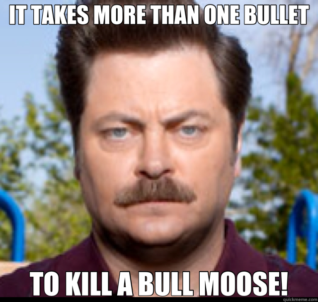 IT TAKES MORE THAN ONE BULLET TO KILL A BULL MOOSE!  Ron Swanson