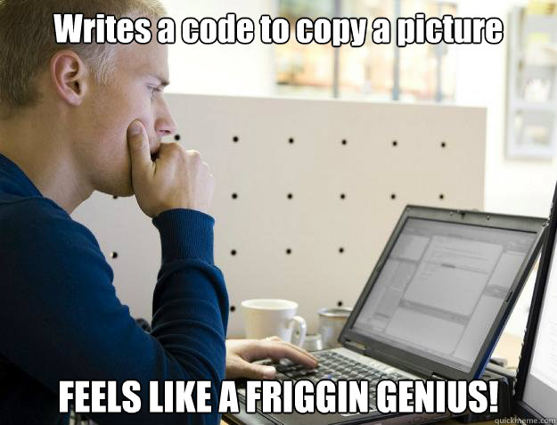 Writes a code to copy a picture FEELS LIKE A FRIGGIN GENIUS!  Programmer