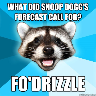 what did snoop dogg's forecast call for? fo'drizzle  Lame Pun Coon