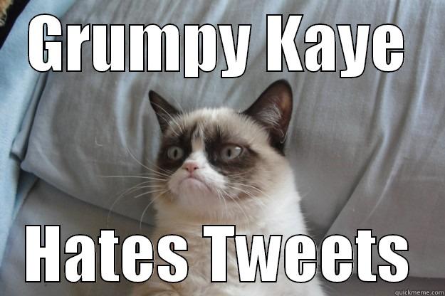 GRUMPY KAYE HATES TWEETS Grumpy Cat