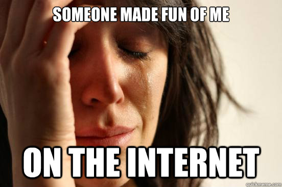 SOMEONE MADE FUN OF ME ON THE INTERNET  First World Problems