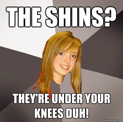 The Shins? They're under your knees duh!  Musically Oblivious 8th Grader