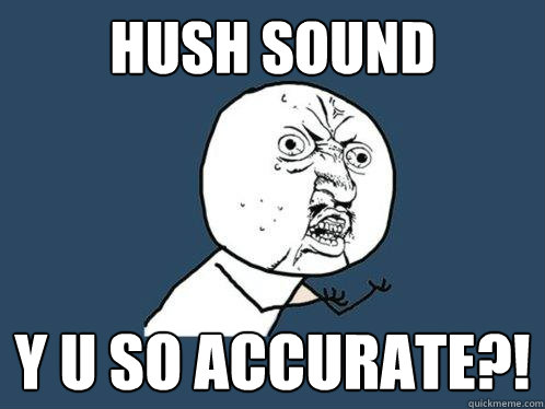 HUSH SOUND Y U SO ACCURATE?!  Y U No