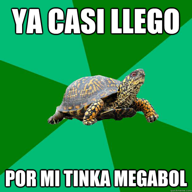 ¡Ya casi llego por mi tinka megabol  Torrenting Turtle