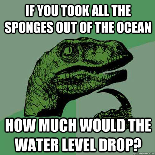 If you took all the sponges out of the ocean How much would the water level drop?  Philosoraptor