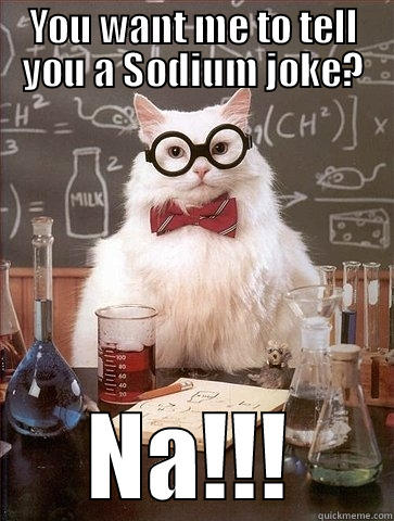 Some Salty Science - YOU WANT ME TO TELL YOU A SODIUM JOKE? NA!!! Chemistry Cat