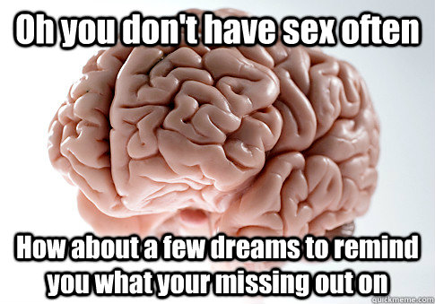 Oh you don't have sex often  How about a few dreams to remind you what your missing out on - Oh you don't have sex often  How about a few dreams to remind you what your missing out on  Scumbag Brain