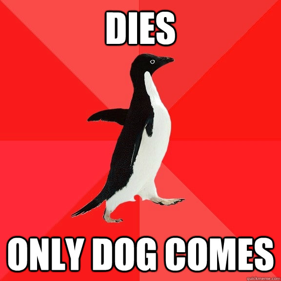 Dies Only dog comes  Socially Awesome Penguin