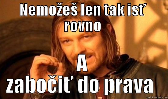 NEMOŽEŠ LEN TAK ISŤ ROVNO A ZABOČIŤ DO PRAVA  Boromir