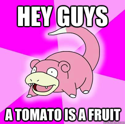 Hey guys A TOMATO IS A FRUIT  Slowpoke