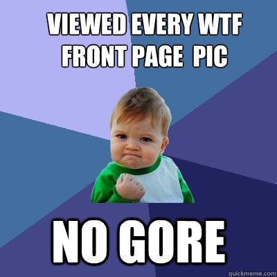 viewed every WTF front page  pic no gore  Success Kid