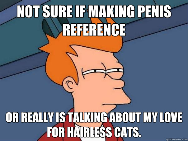 Not sure if making penis reference Or really is talking about my love for hairless cats. - Not sure if making penis reference Or really is talking about my love for hairless cats.  Futurama Fry