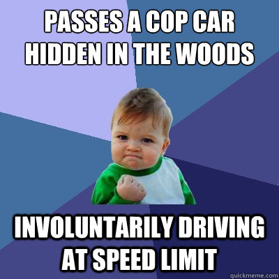 Passes a cop car hidden in the woods with speed-gun involuntarily driving at speed limit  Success Kid