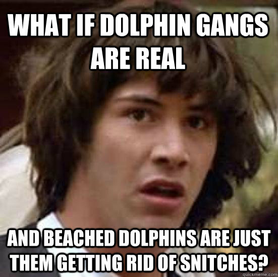 what if dolphin gangs are real and beached dolphins are just them getting rid of snitches?  conspiracy keanu