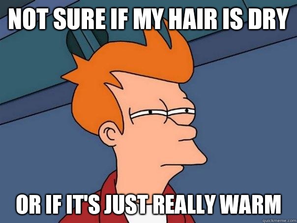 Not sure if my hair is dry Or if it's just really warm  Futurama Fry