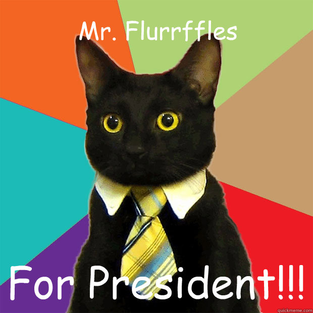 Mr. Flurrffles For President!!!  Business Cat