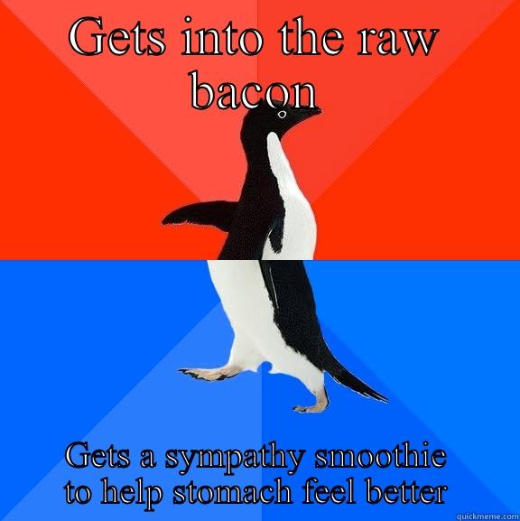 Bacon smoothy - GETS INTO THE RAW BACON GETS A SYMPATHY SMOOTHIE TO HELP STOMACH FEEL BETTER Socially Awesome Awkward Penguin