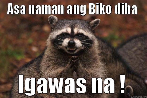 ASA NAMAN ANG BIKO DIHA IGAWAS NA ! Evil Plotting Raccoon