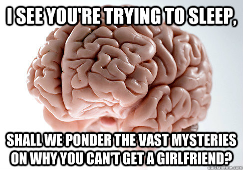 i see you're trying to sleep, shall we ponder the vast mysteries on why you can't get a girlfriend?  Scumbag Brain