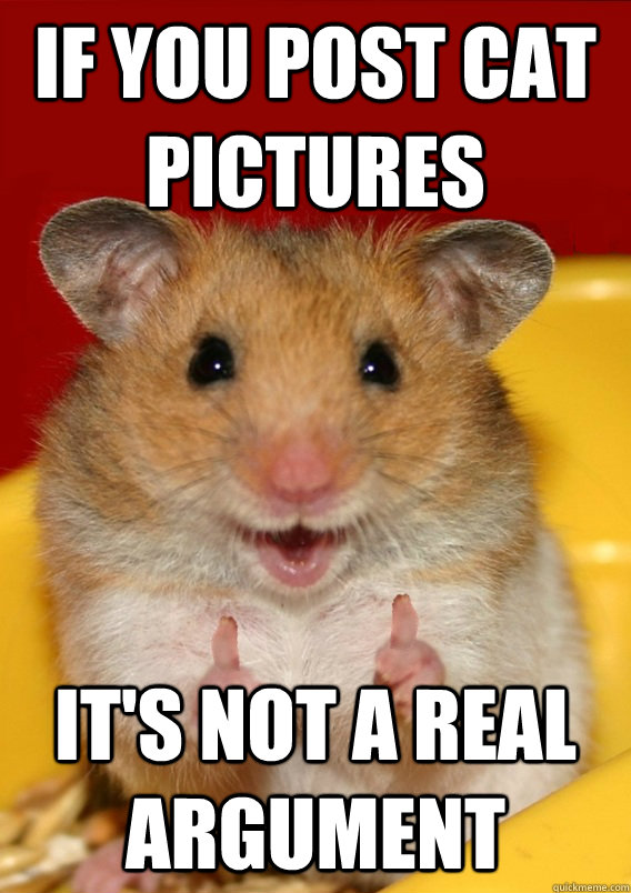 if you post cat pictures it's not a real argument  - if you post cat pictures it's not a real argument   Rationalization Hamster