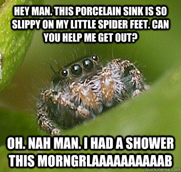 Hey man. this porcelain sink is so slippy on my little spider feet. can you help me get out? oh. nah man. i had a shower this morngrlaaaaaaaaaab - Hey man. this porcelain sink is so slippy on my little spider feet. can you help me get out? oh. nah man. i had a shower this morngrlaaaaaaaaaab  Misunderstood Spider