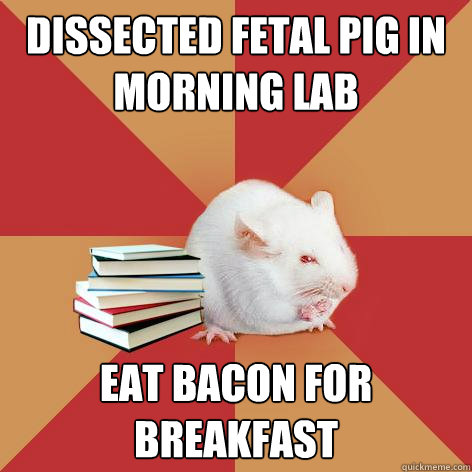 dissected fetal pig in morning lab eat bacon for breakfast  Science Major Mouse